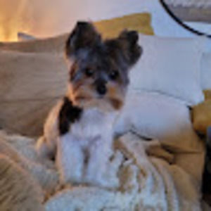 Meet your Posher, Caroline